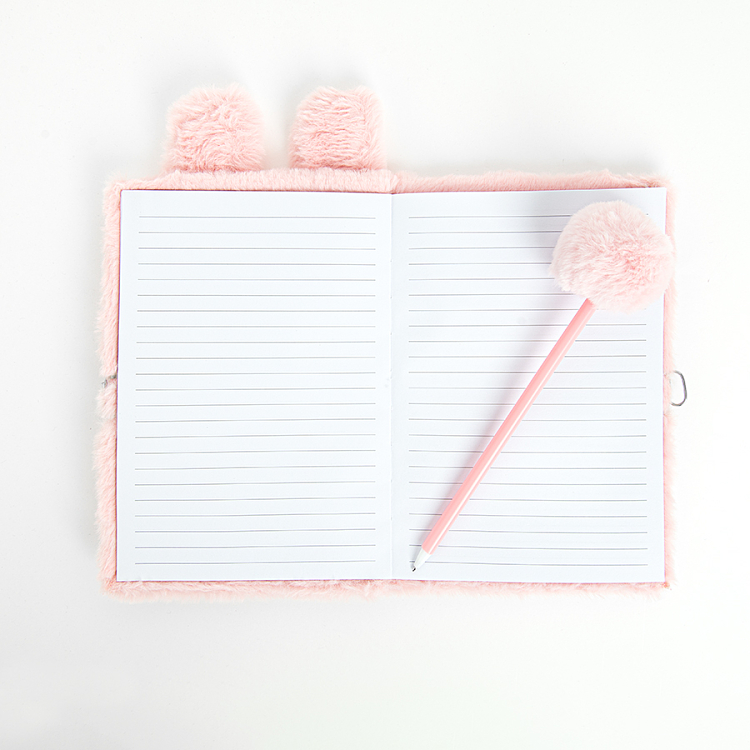 Diary