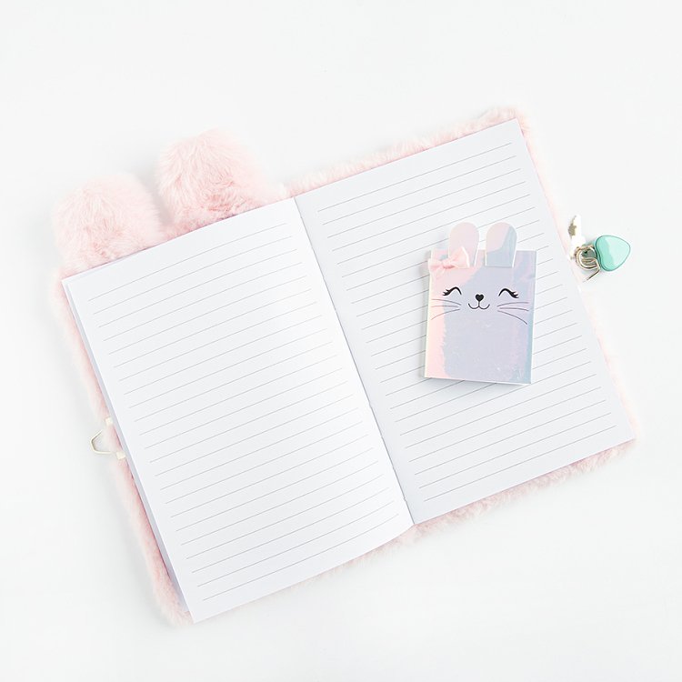 DIARY