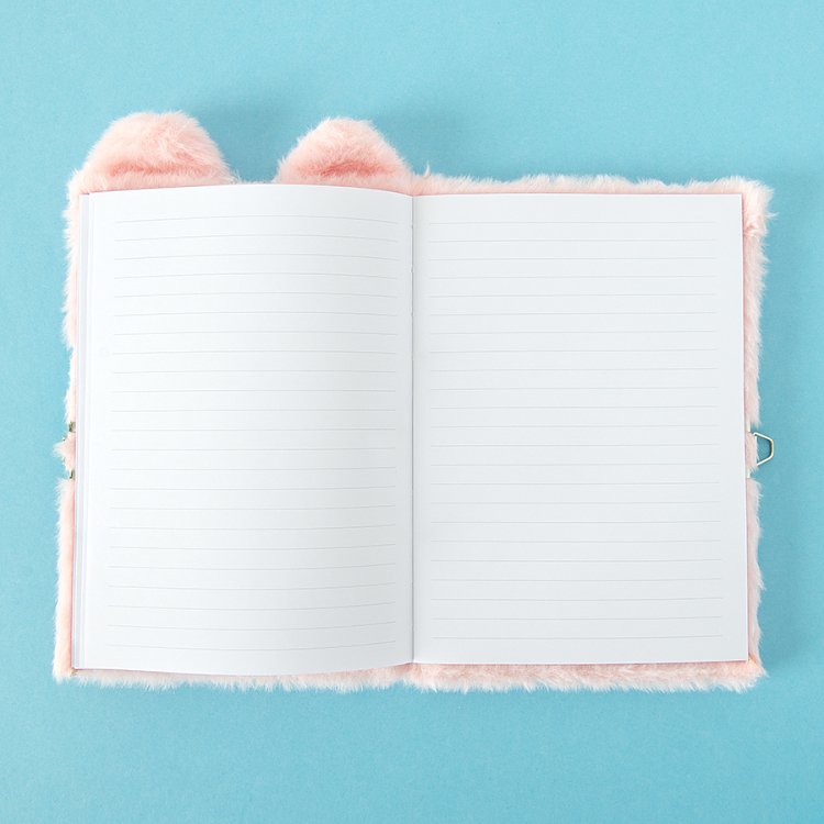 DIARY