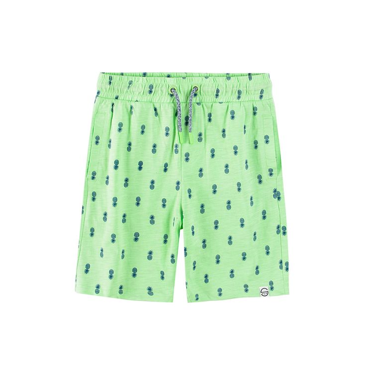 Blue and green shorts with pineapples print 2-pack