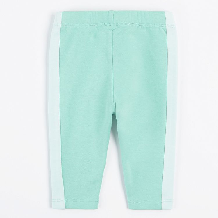 Violet and light green jeggings- 2 pack