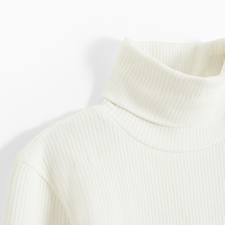 TURTLENECK