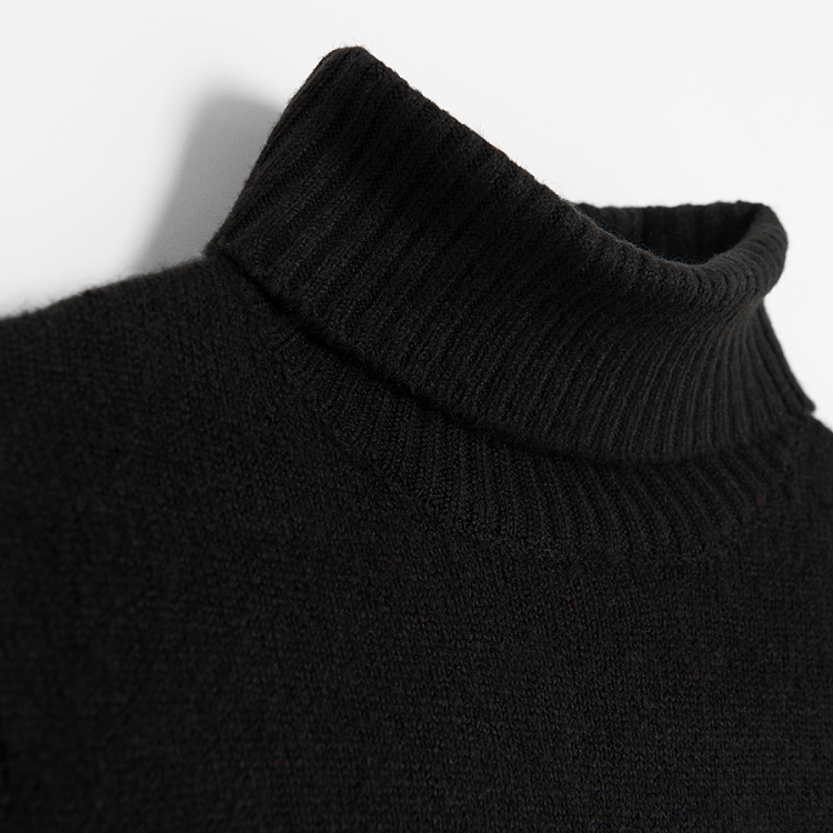 TURTLENECK