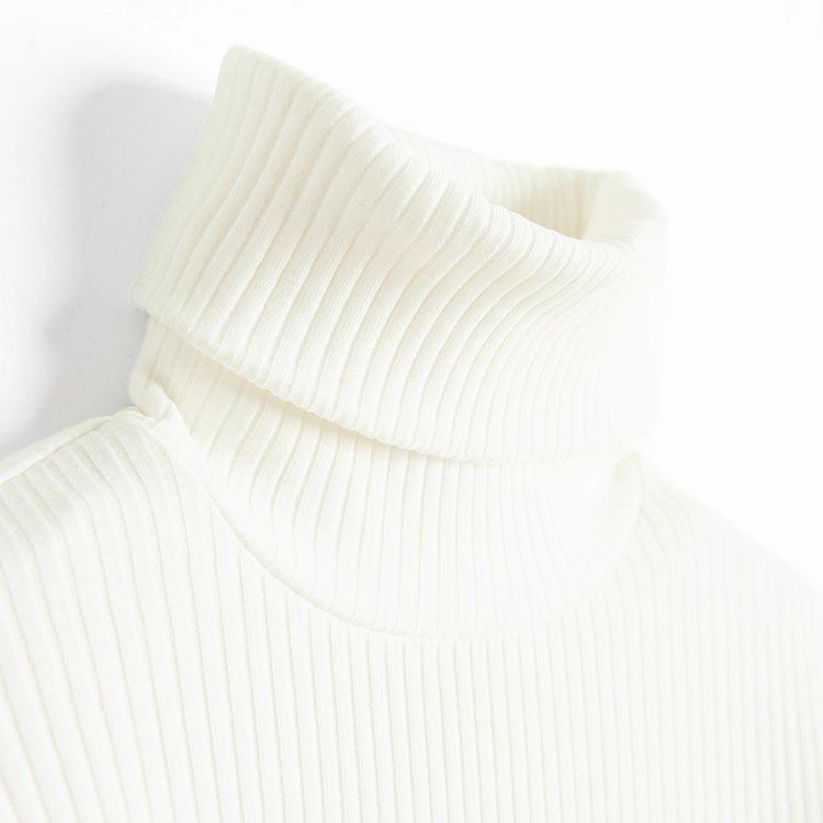 TURTLENECK