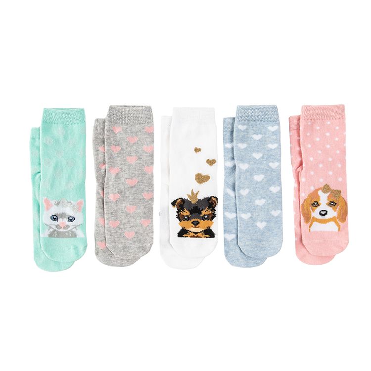 Socks with kittens and dogs print5-pack