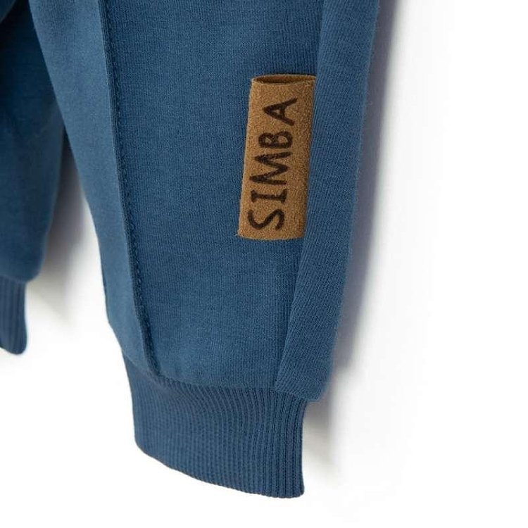 Lion King set, sweatshirt and sweatpants- 2 pieces