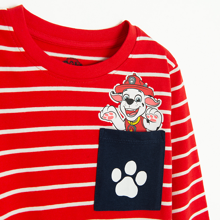 Paw patrol long sleeve blouses- 3 pack