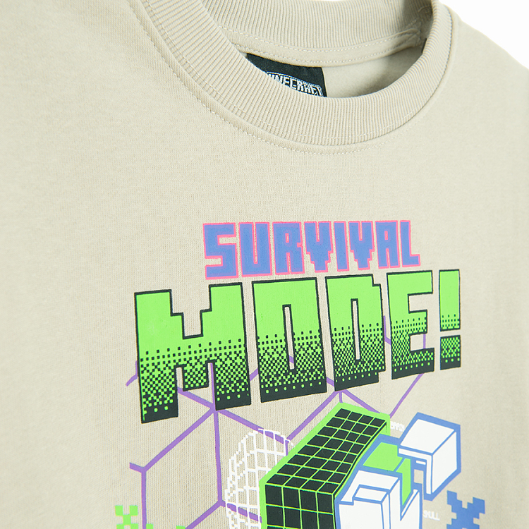 Φούτερ MINECRAFT