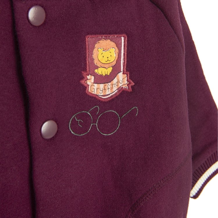 Φούτερ HARRY POTTER