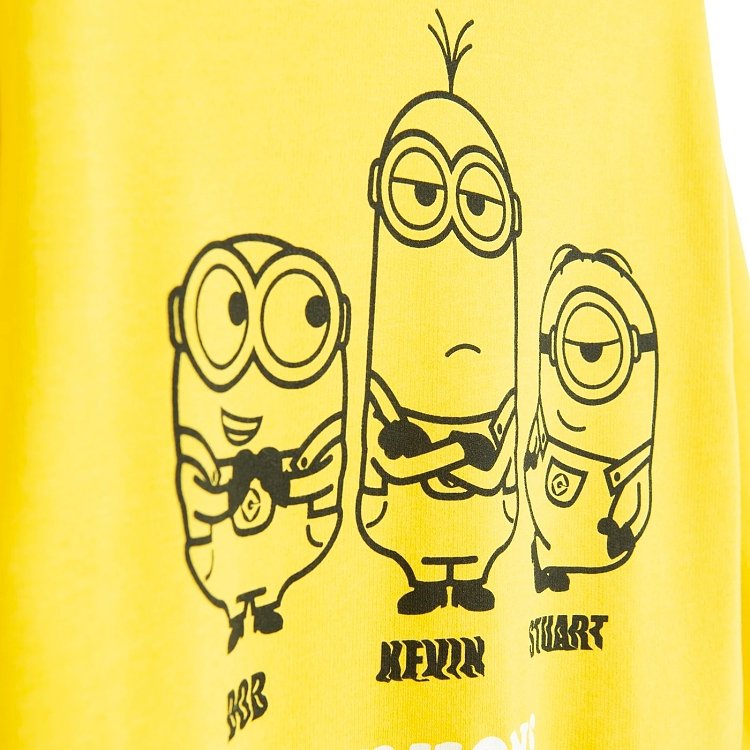 Φούτερ MINIONS