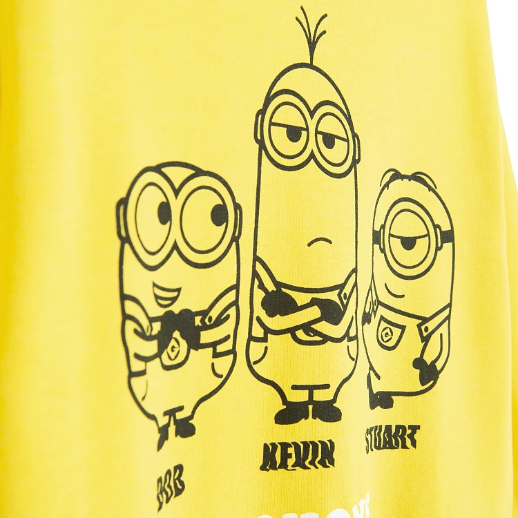 Φούτερ MINIONS
