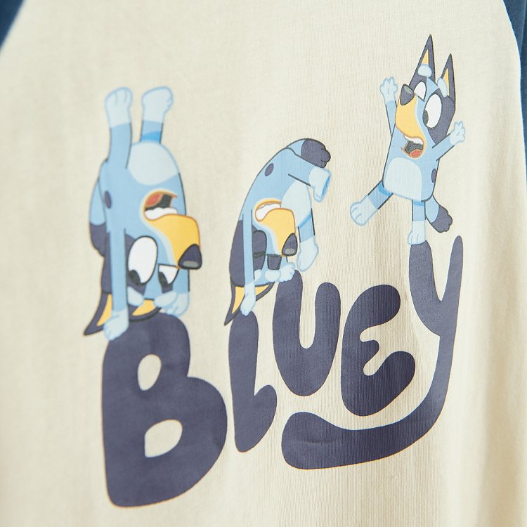 Φούτερ BLUEY
