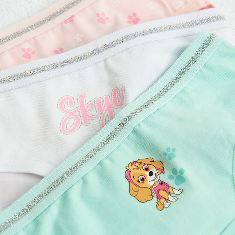 Paw Patrol briefs in paster colors- 5 pack