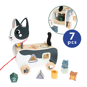 Wooden toy