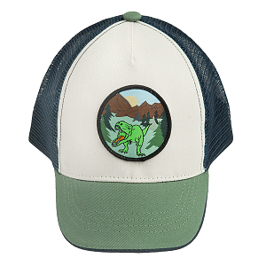 White and green jockey hat with dinosaur print