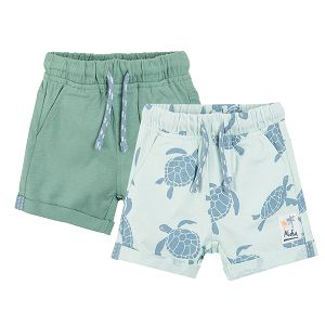 Green and blue with turtles shorts 2-pack