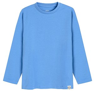 Blue long sleeve blouse