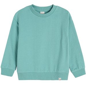 Turquoise sweatshirt
