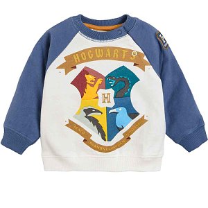 Μπλούζα μακρυμάνικη με σχέδιο Harry Potter