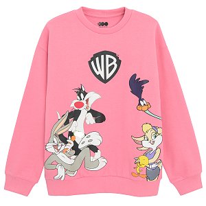 Warner Bros heroes sweatshirt