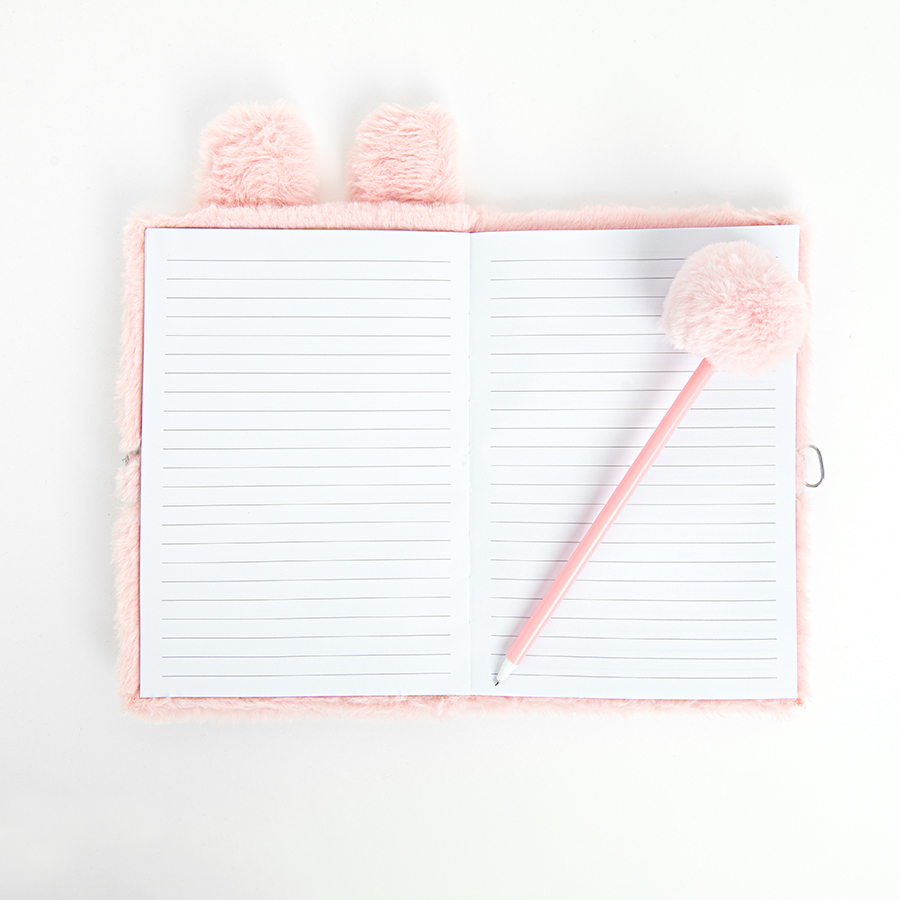 Diary
