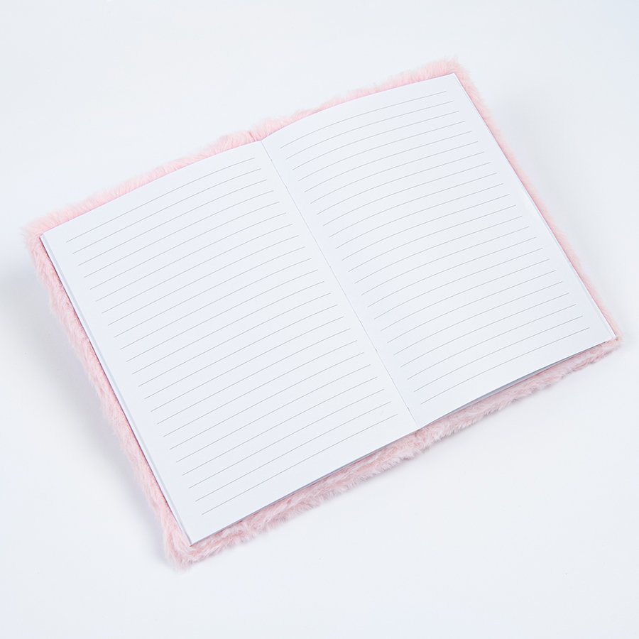 Diary