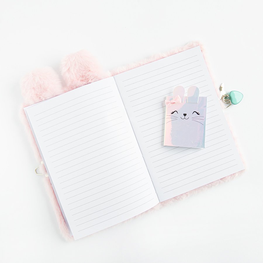 DIARY