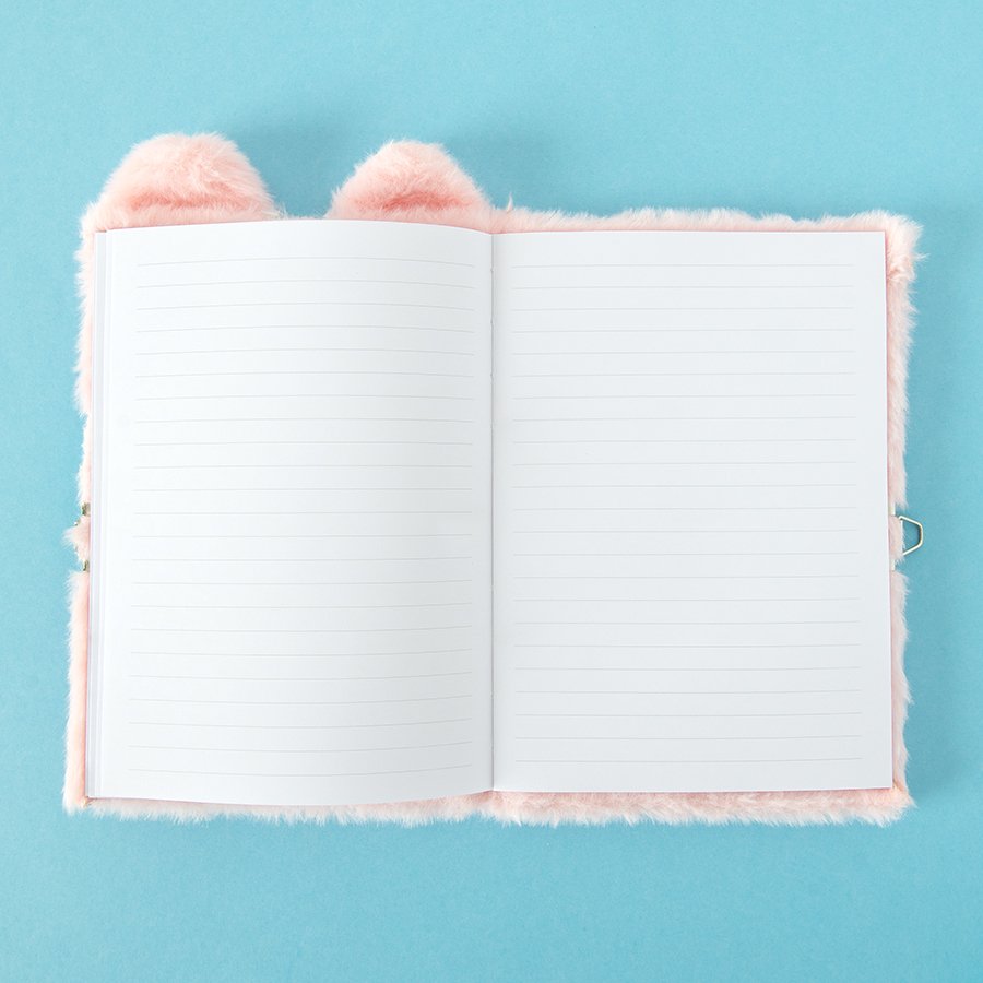 DIARY