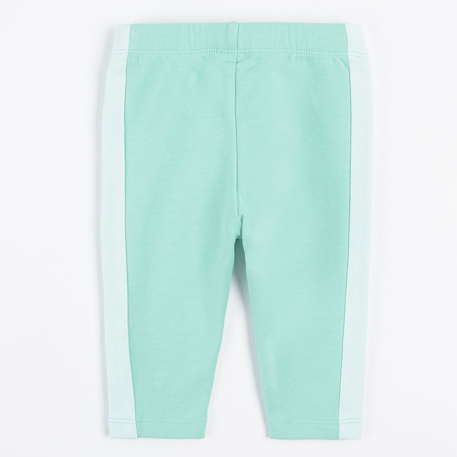Violet and light green jeggings- 2 pack