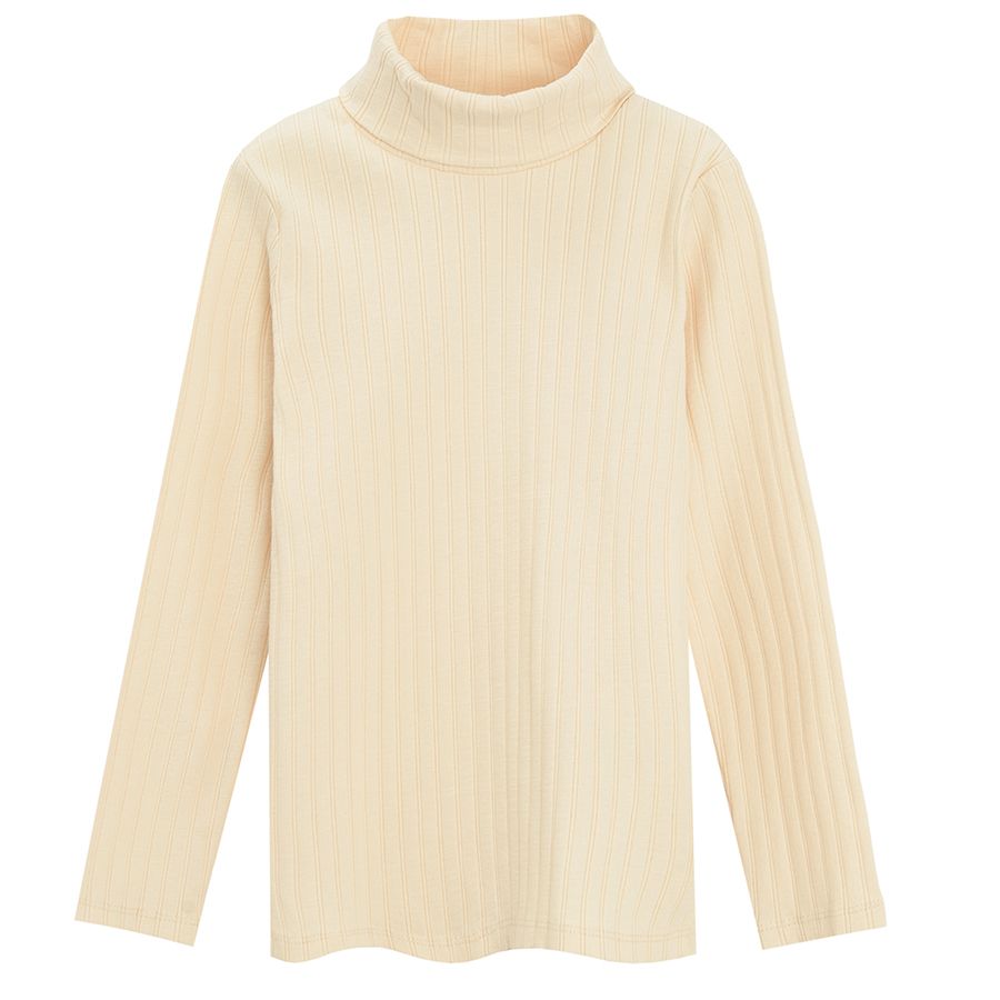 Ecru turtleneck long sleeve blouse