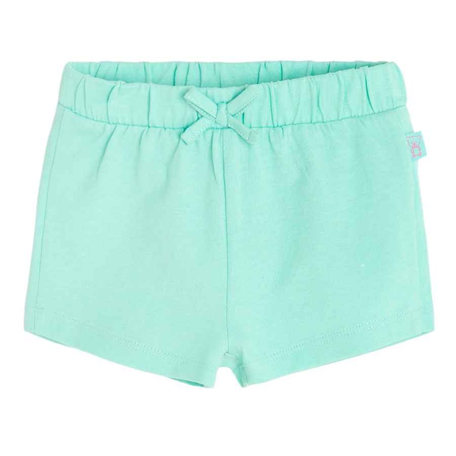 Turquoise and pink with watermelons print shorts- 2 pack