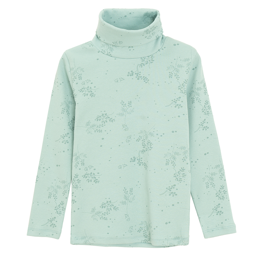 TURTLENECK