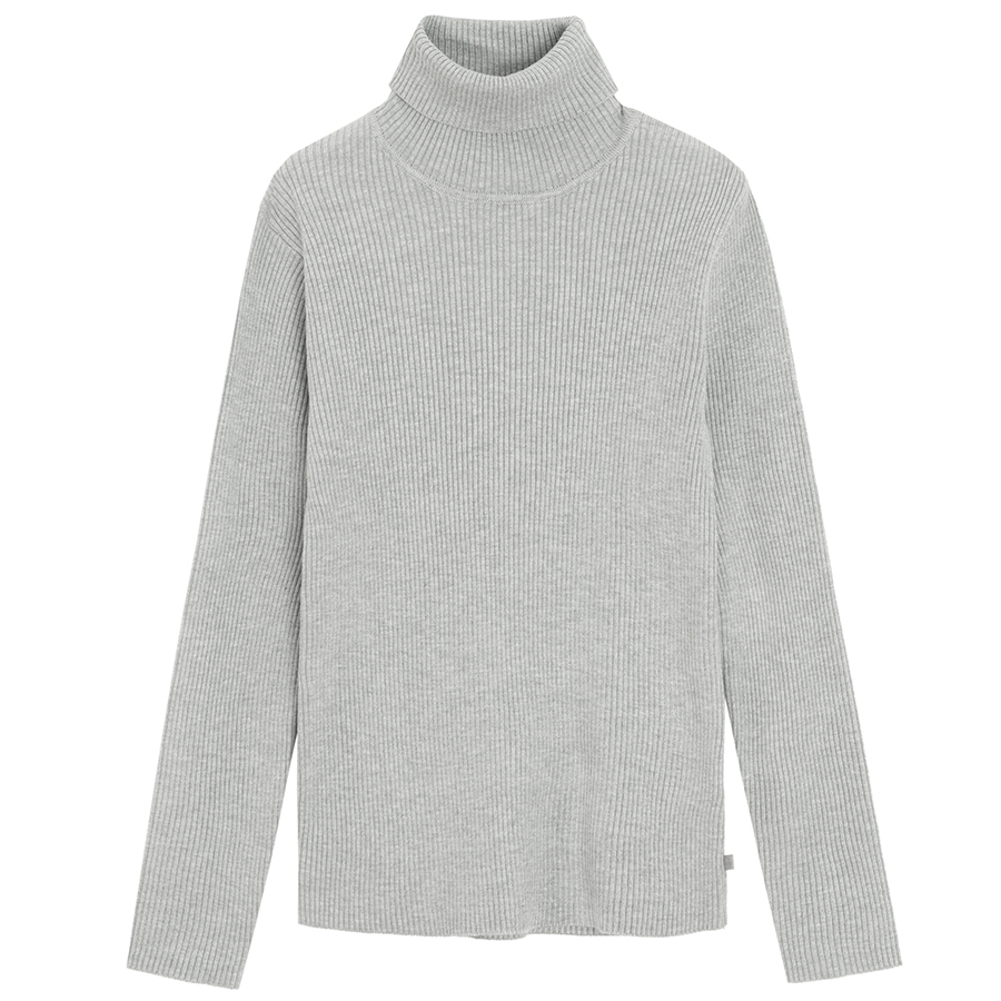 TURTLENECK