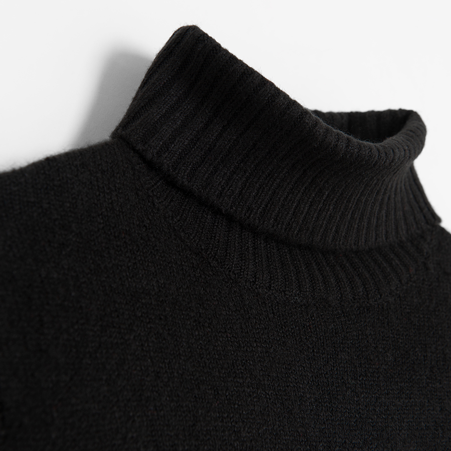 TURTLENECK