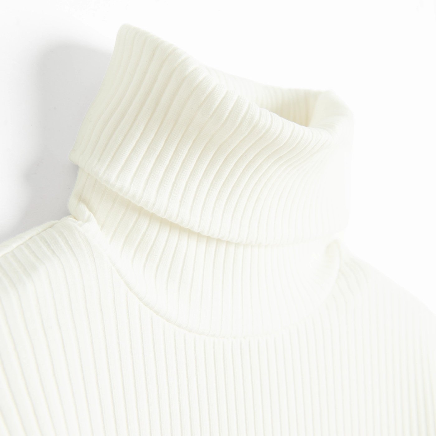 TURTLENECK