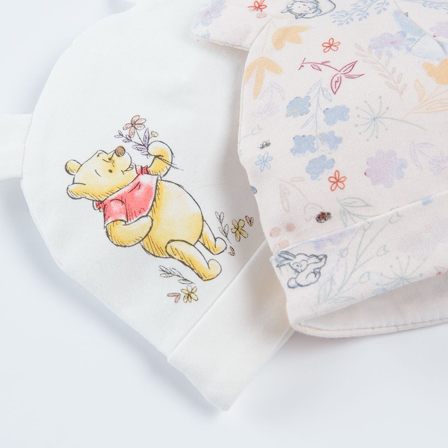 Winnie the Pooh all year beanie- 2 pack