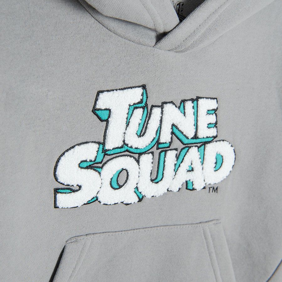 Looney Tunes grey hooded sweatshirt