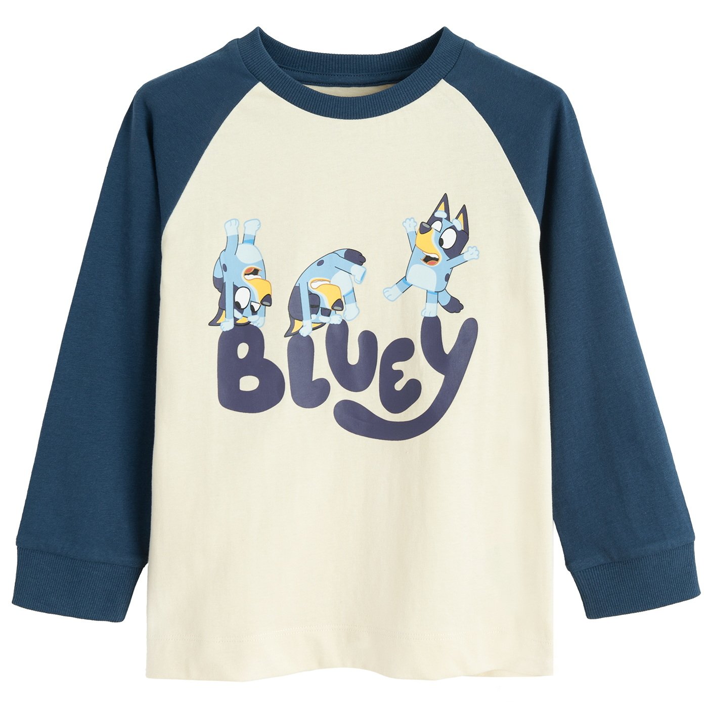 Φούτερ BLUEY
