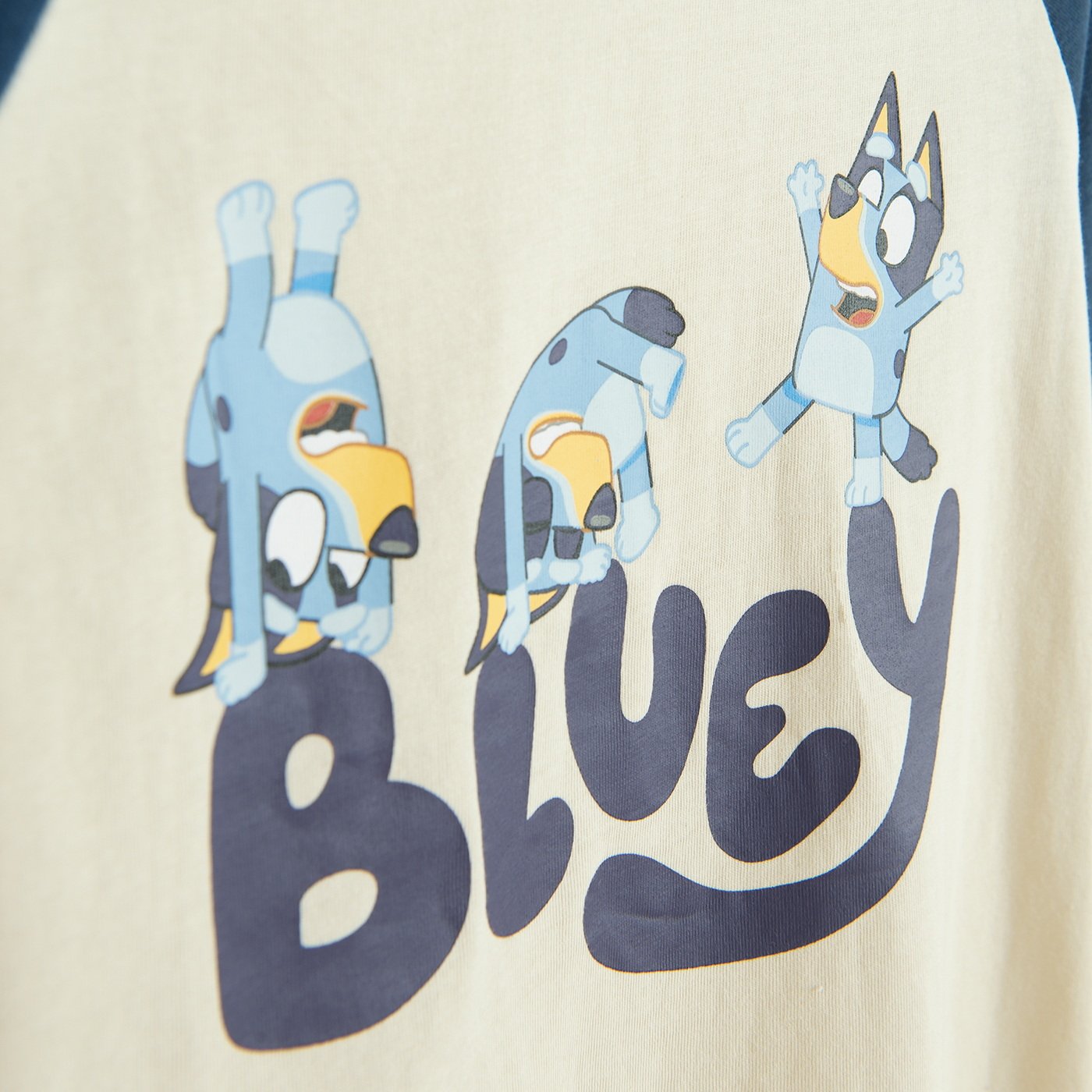 Φούτερ BLUEY