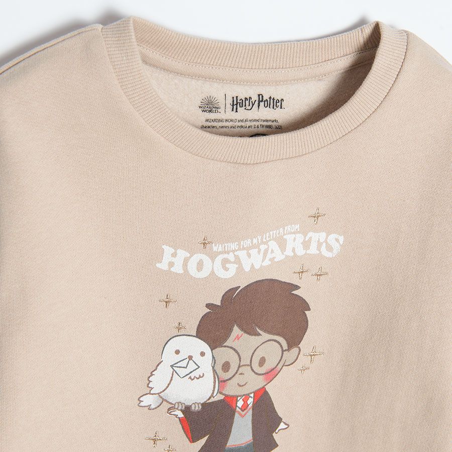 Φούτερ μπεζ HARRY POTTER