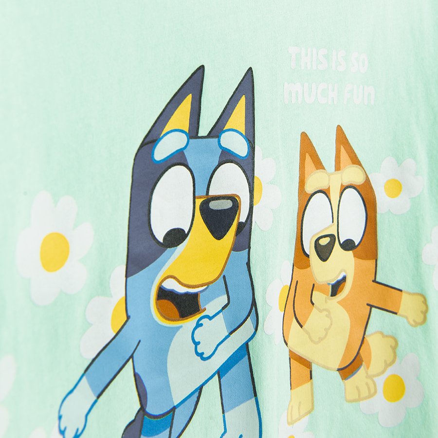 Μπλούζα κοντομάνικη πράσινη με στάμπα BLUEY